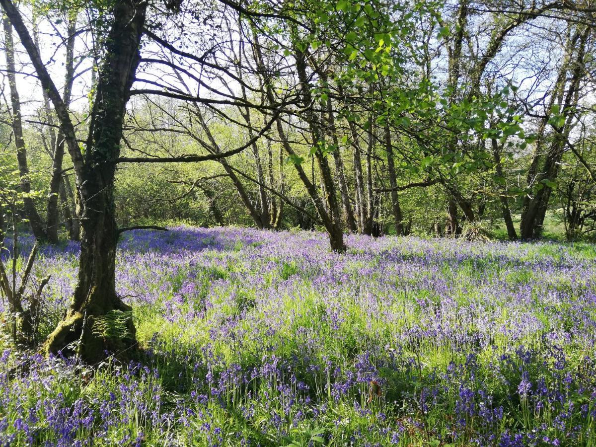 Wray Valley モルトンハムステッド エクステリア 写真