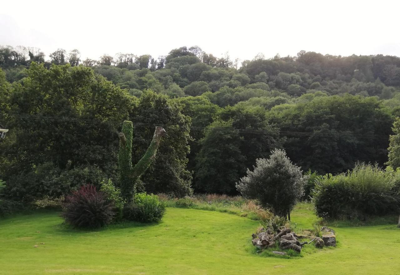 Wray Valley モルトンハムステッド エクステリア 写真