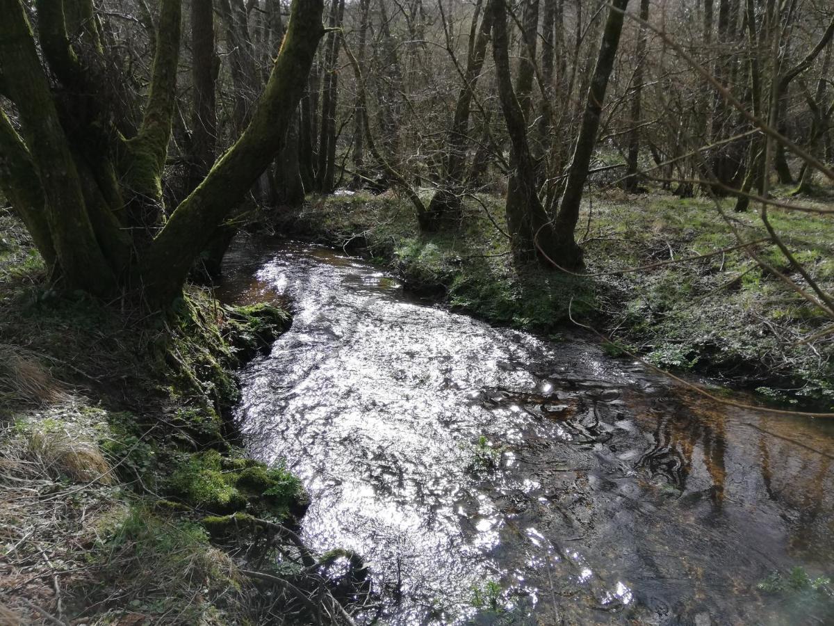 Wray Valley モルトンハムステッド エクステリア 写真