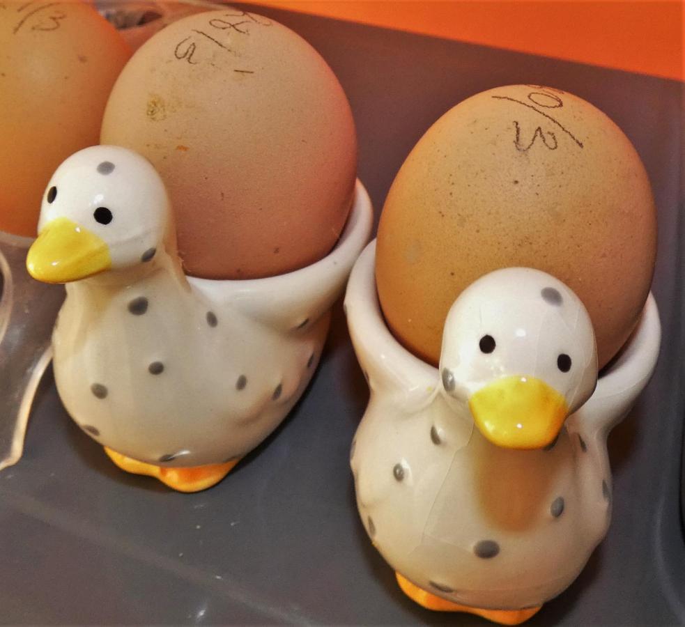Wray Valley モルトンハムステッド エクステリア 写真