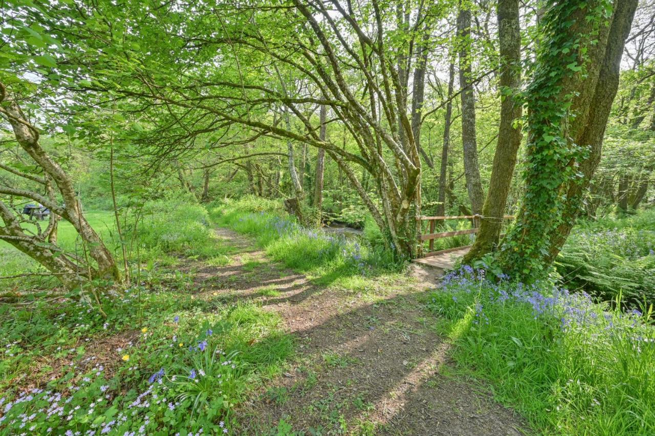 Wray Valley モルトンハムステッド エクステリア 写真