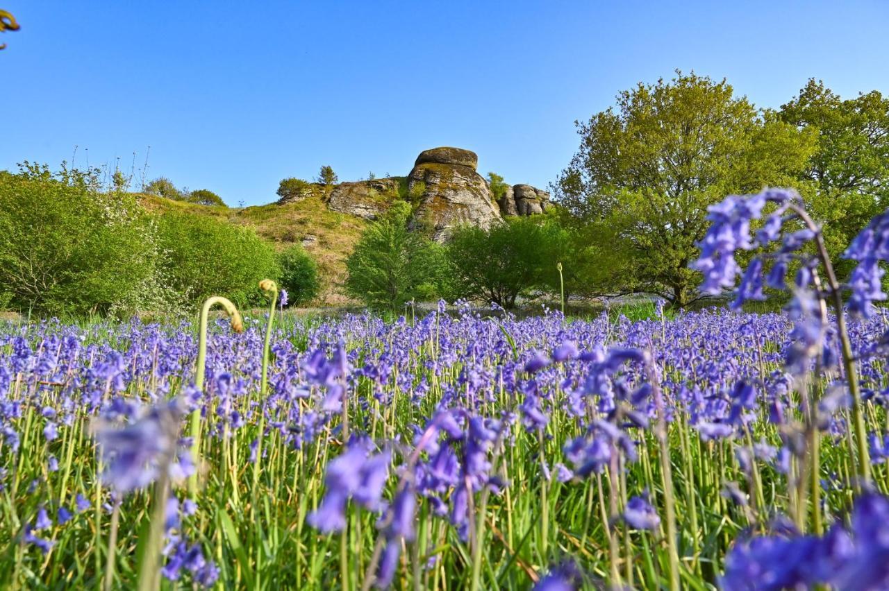 Wray Valley モルトンハムステッド エクステリア 写真